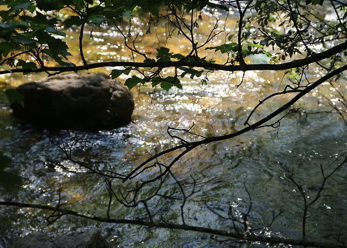 Balneario 3* Caldas De Luna